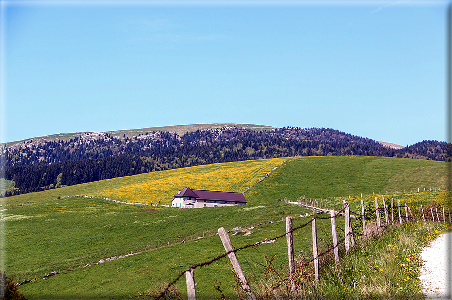 foto Monte Lisser